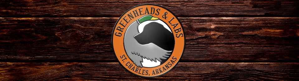 Greenheads and Labs