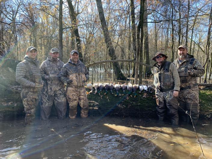 Mallard ducks. Flooded Timber