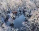 Flooded Timber duck blind. 