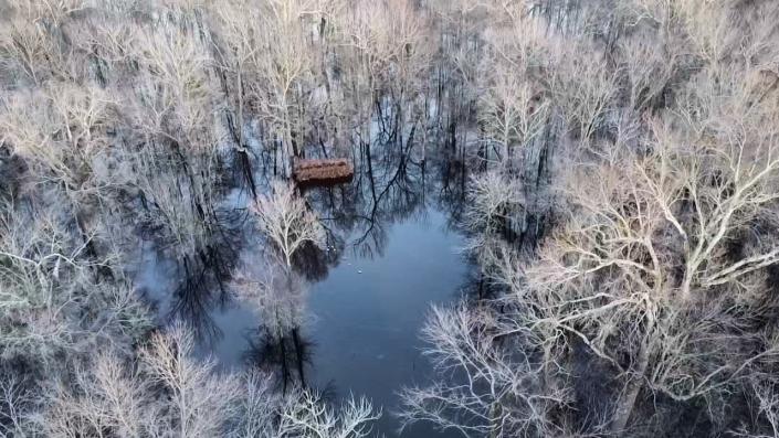 Flooded Timber duck blind. 