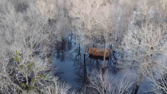 Big hole. Flooded timber